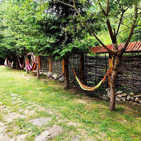 Cabana Frasin Dragoslavele Dış mekan fotoğraf