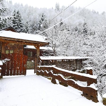 Cabana Frasin Dragoslavele Dış mekan fotoğraf