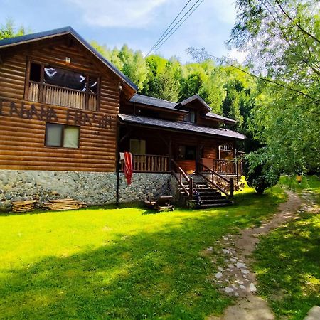 Cabana Frasin Dragoslavele Dış mekan fotoğraf