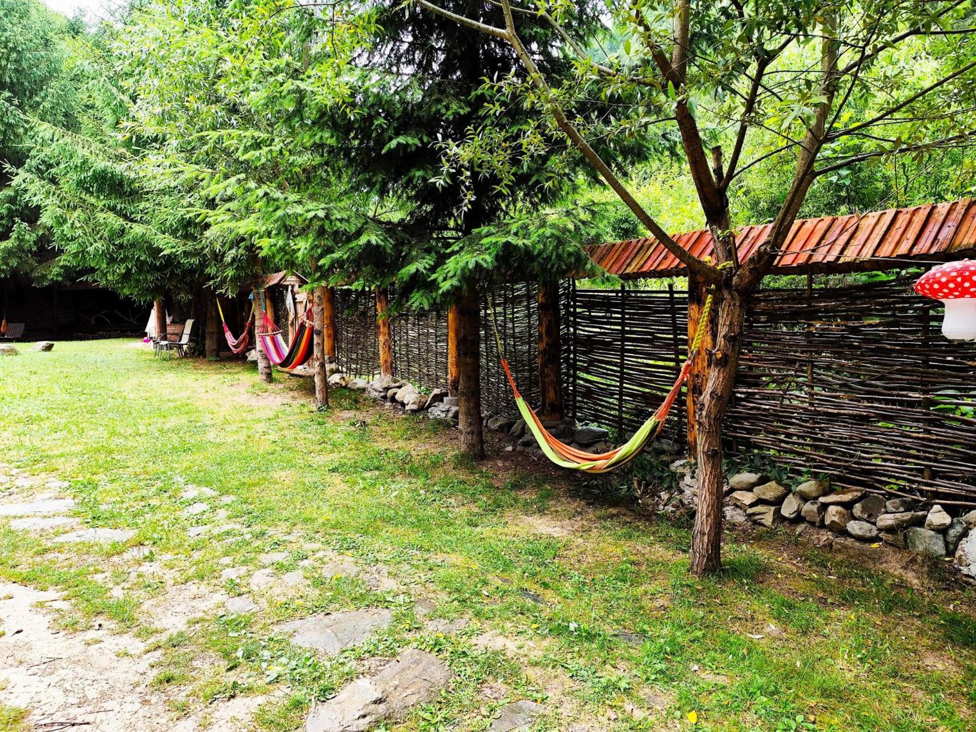 Cabana Frasin Dragoslavele Dış mekan fotoğraf