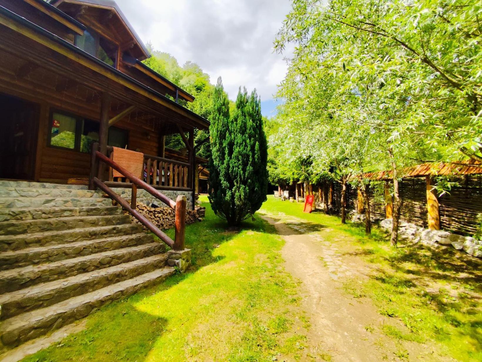 Cabana Frasin Dragoslavele Dış mekan fotoğraf