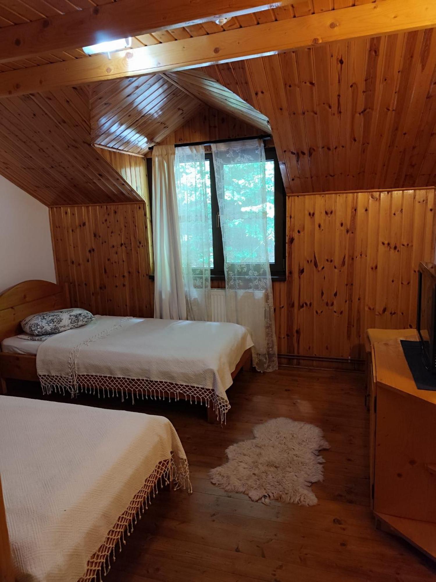 Cabana Frasin Dragoslavele Dış mekan fotoğraf