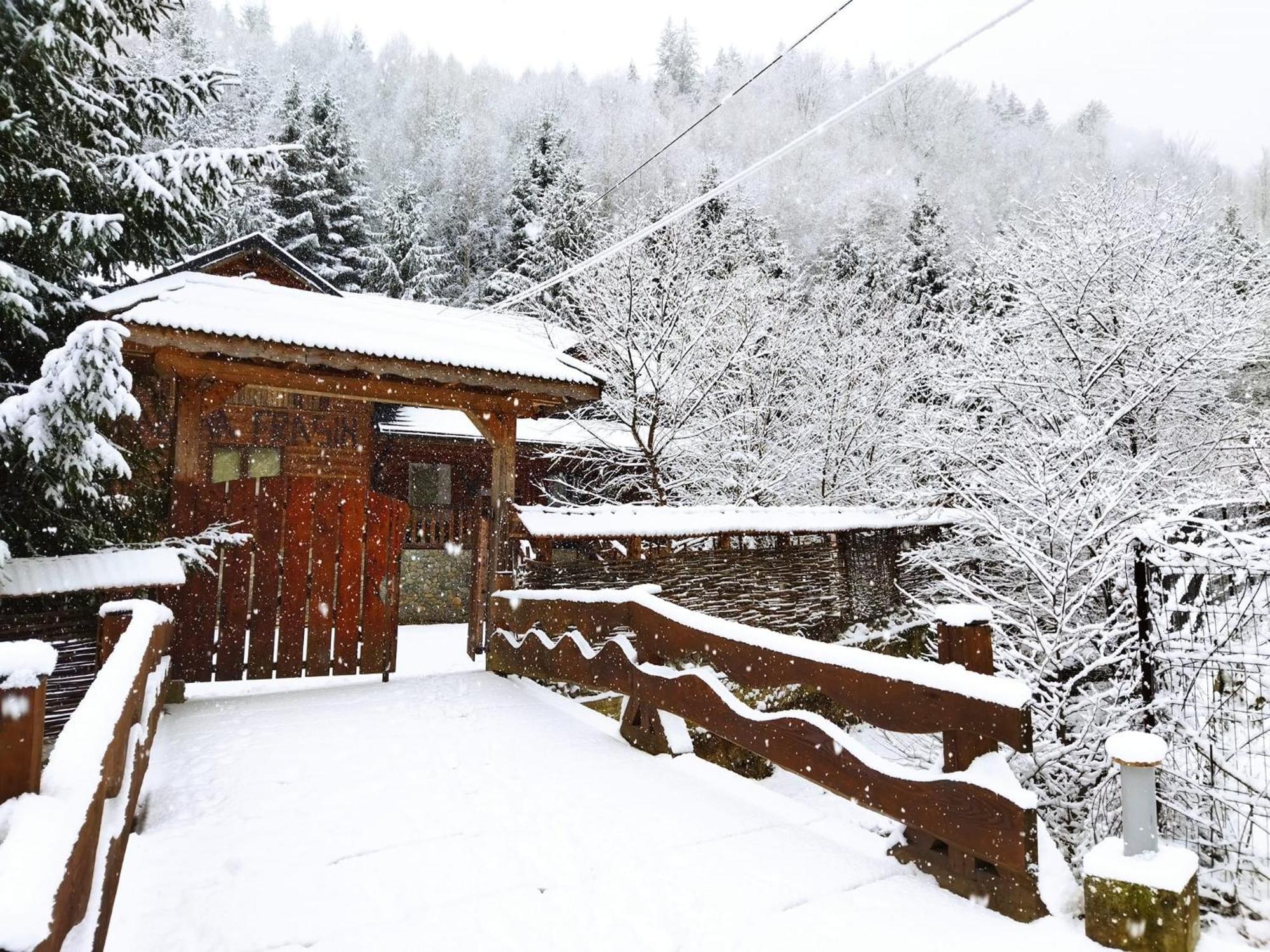 Cabana Frasin Dragoslavele Dış mekan fotoğraf