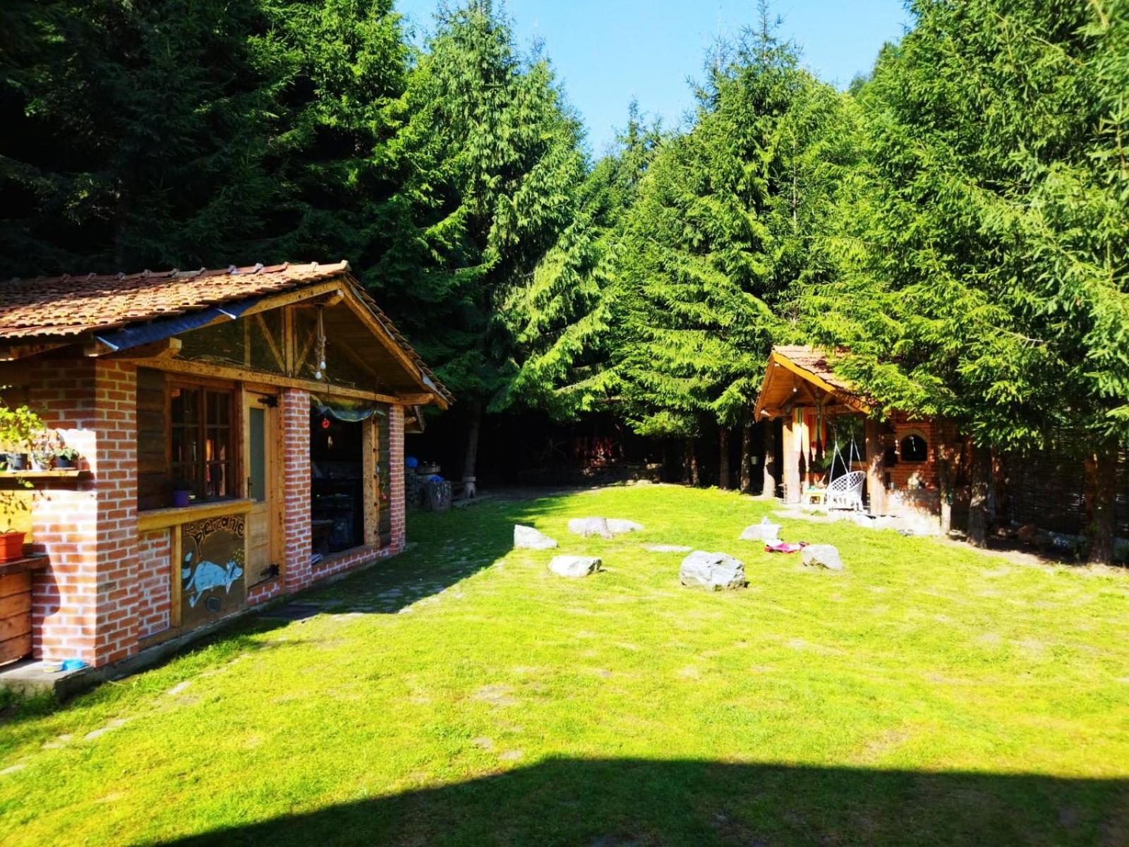 Cabana Frasin Dragoslavele Dış mekan fotoğraf